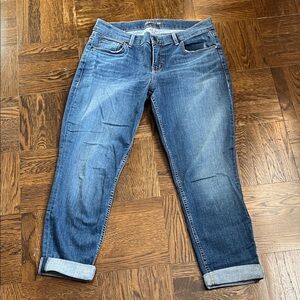 Level 99 Medium Wash Cropped Jeans
